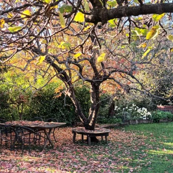 A lovely house in Vipava valley, hotelli kohteessa Vipava