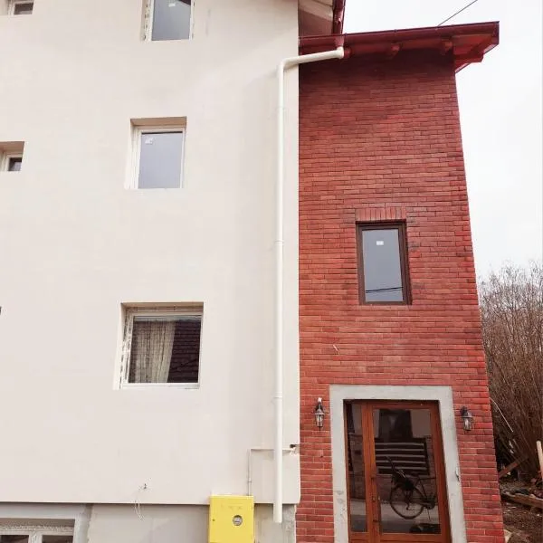 Srna apartmani, Hotel in Čačak