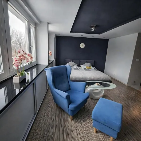 Black & White Komfortowe Apartamenty 2 km od Centrum, hotel a Racibórz