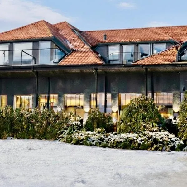 Polonez w Rymaniu，Rymań的飯店