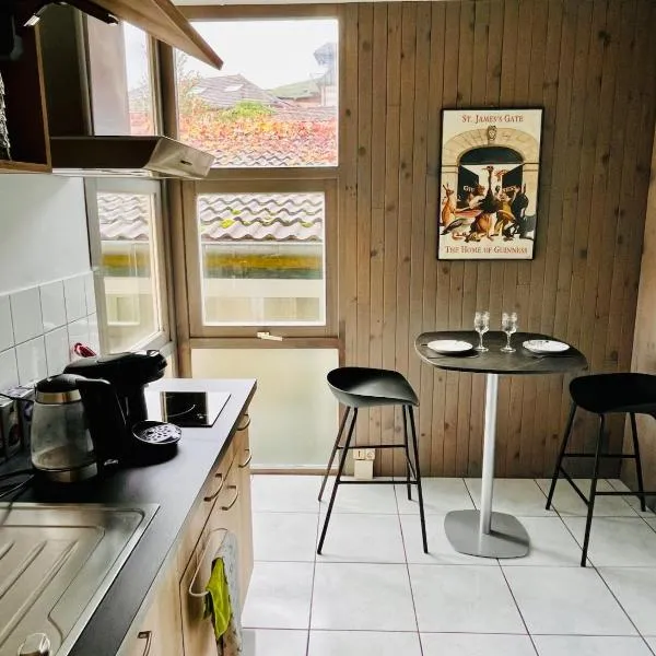 Joli T1 Chez Doudou plein centre-ville au calme, vue jardin โรงแรมในRambervillers