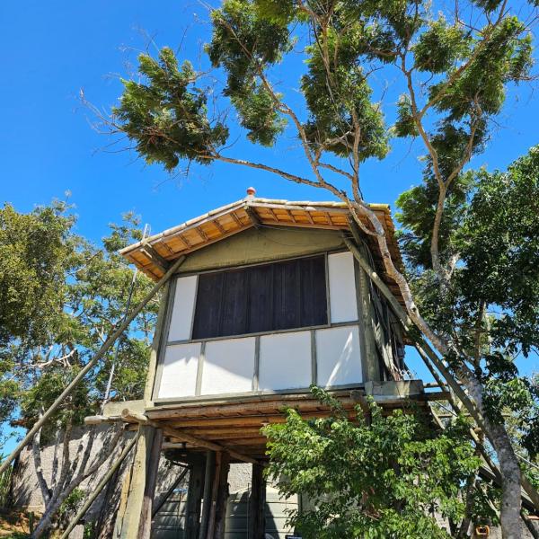 Cabana da Árvore