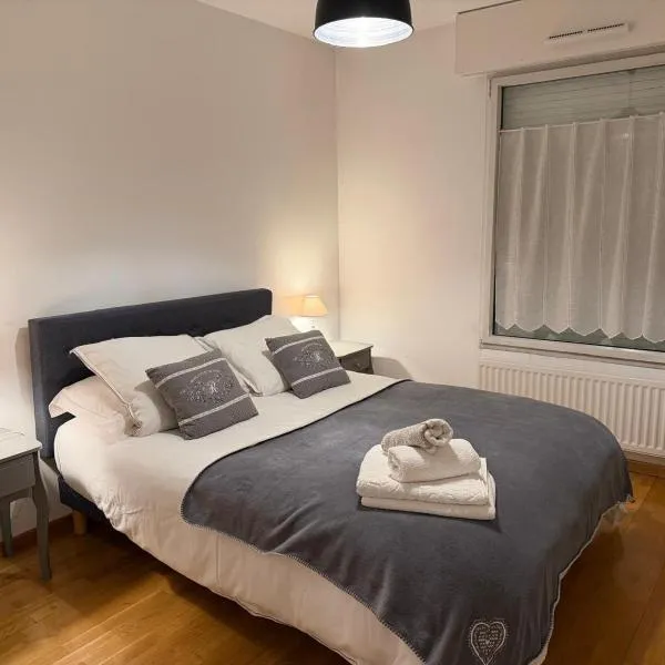 Appartement CITY CENTER-SALLANCHES, hotel in Sallanches