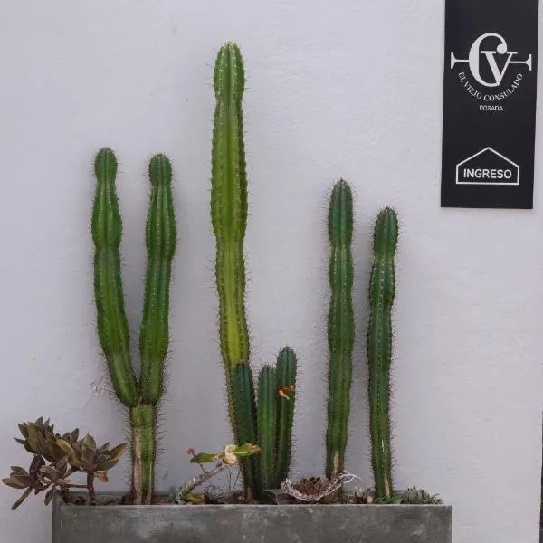 Posada El Viejo Consulado – hotel w mieście Colonia del Sacramento