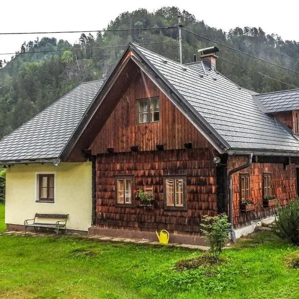 Haus Pfatschbacher, hotel i Wildalpen