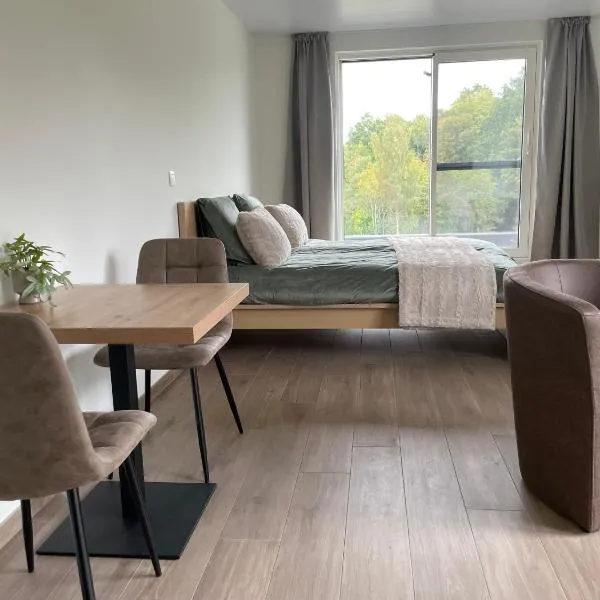 Le Grand Pont, viešbutis mieste Vjelsalmas