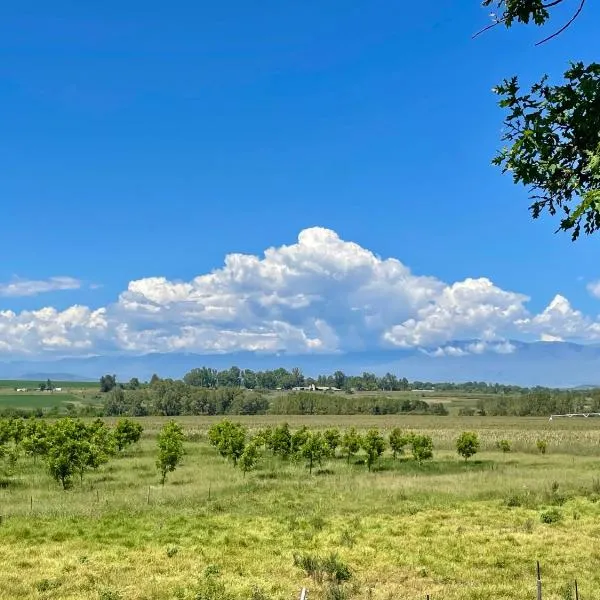 Bee’s Knees Cottage、ウィンタートンのホテル