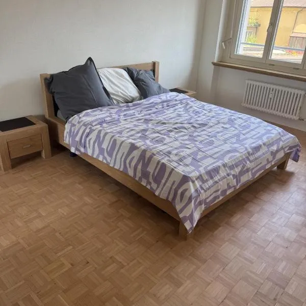 Shared Apartment in central Luzern, hotel Luzernben