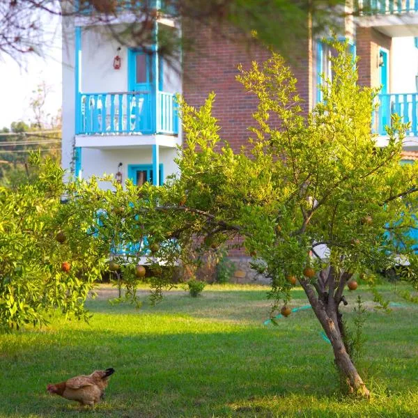 페티예에 위치한 호텔 Yonca Lodge