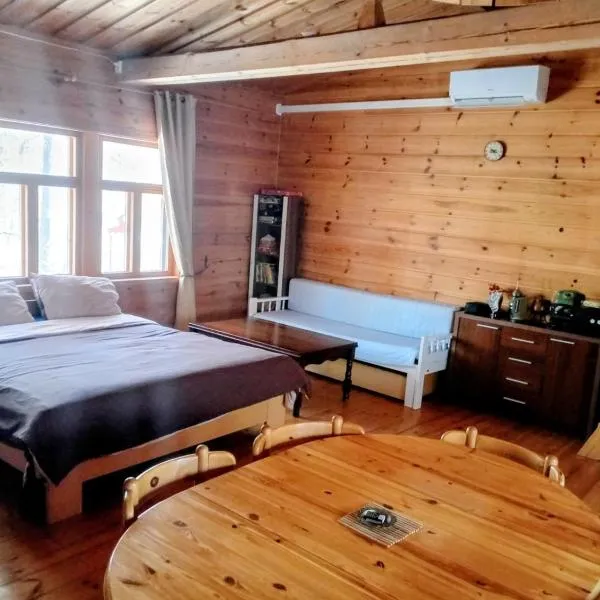 Chez-Nous Äänekoski, Sauna & Jacuzzi, Northern Lights, hotel u gradu 'Äänekoski'