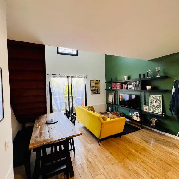 Appartement duplex premium à deux pas de Lille, hotel i Lambersart