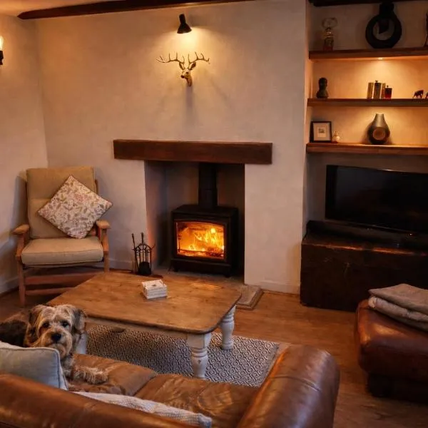 Cosy Flint Cottage, hotel u gradu Istborn