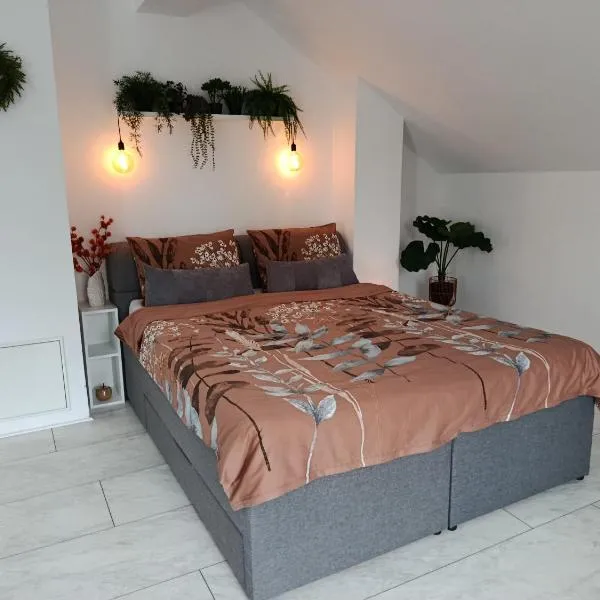 Popas 26, hotell sihtkohas Nădlac