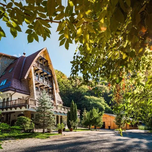 Pension Casa Vanatorilor, hotel en Băile Olăneşti
