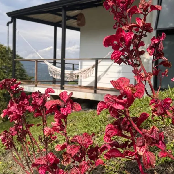 Cabañas Alondra - Hotel Boutique, hotell i Vergara