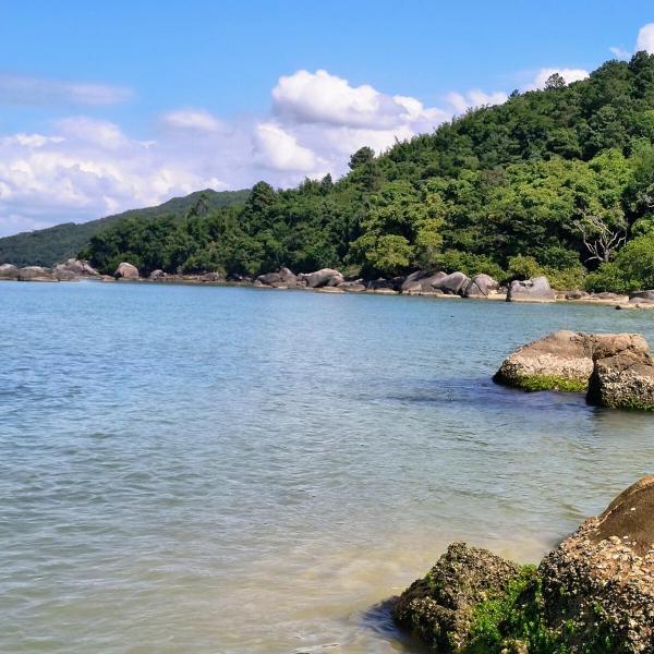 Doce Refúgio em Zimbros - Foto 2