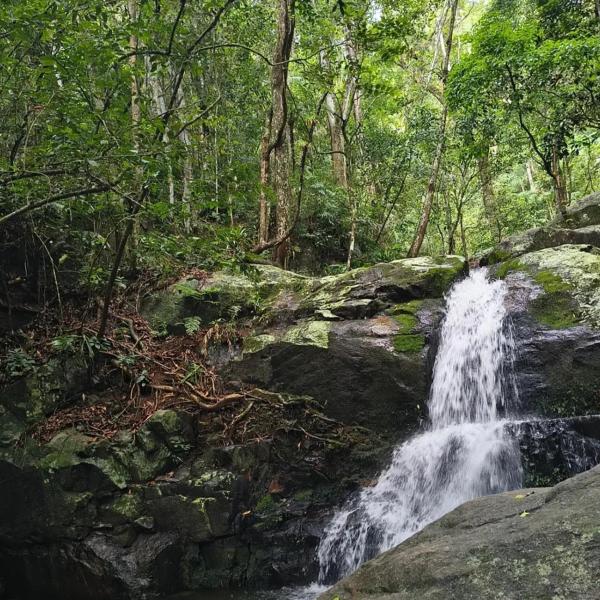Doce Refúgio em Zimbros - Foto 3