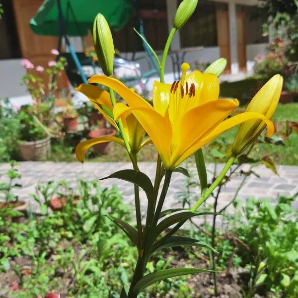 Kenti's Home Ollantaytambo, hotel i Ollantaytambo
