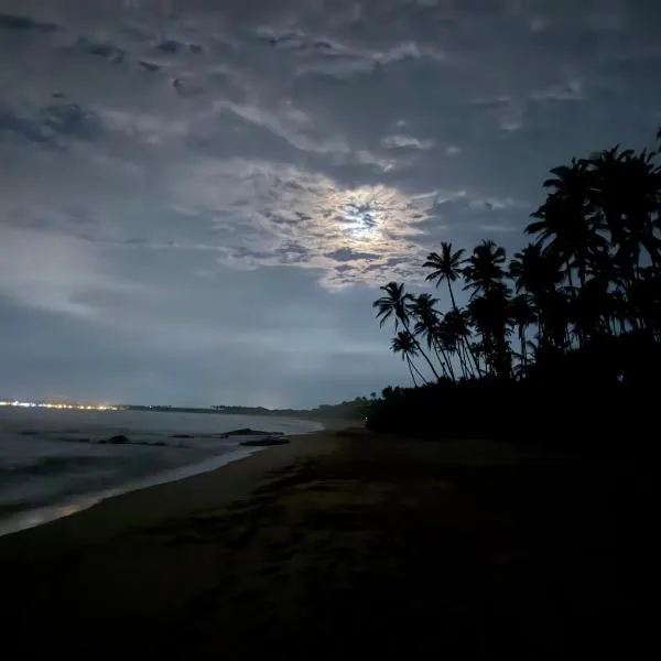 Shine Wave Turtle Beach、タンガラのホテル