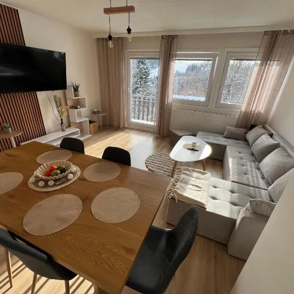 Aldrovské Trio, hotel Vítkovicében