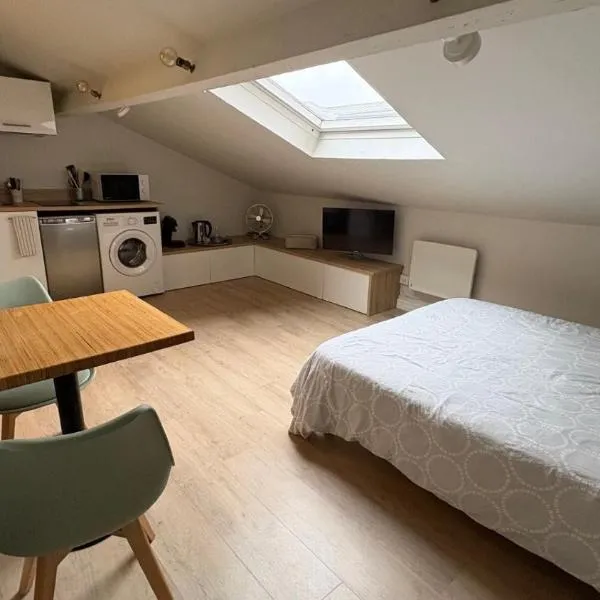 charmant studio tout confort à 50m de la gare, Hotel in Valenciennes