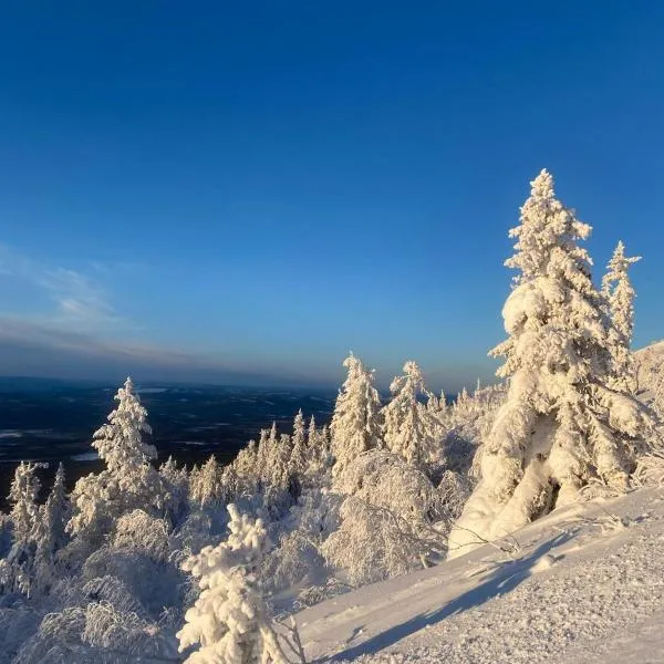 Högt upp på fjället!, hotel a Storhågna
