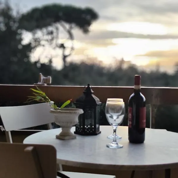I Levrieri Sea Apartmet, hotel i Torre del Lago Puccini