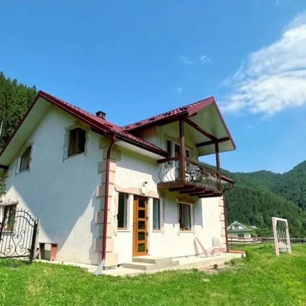 Pink House Karpaty, hotel din Krivorovnya