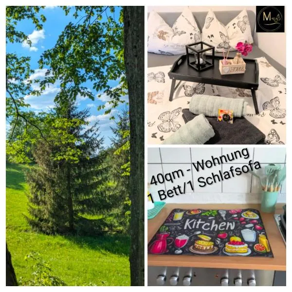 Kleine Sonnenstrahl-Oase，Frielendorf的飯店