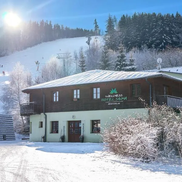 Wellness hotel Sauna, hotelli kohteessa Malá Morávka
