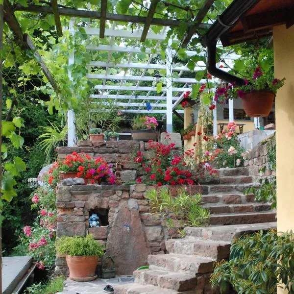 Am Berggarten, hotel in Heidelberg