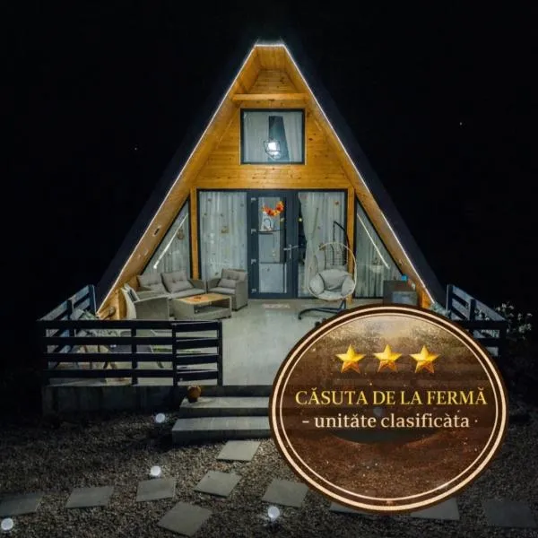 Viesnīca Casuta de la ferma pilsētā Băiculeşti