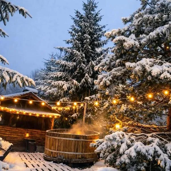 Casa Valasoaia, hotel i Săcele