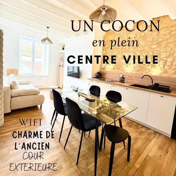 Le cocon Saint Denis, hotel en Amboise