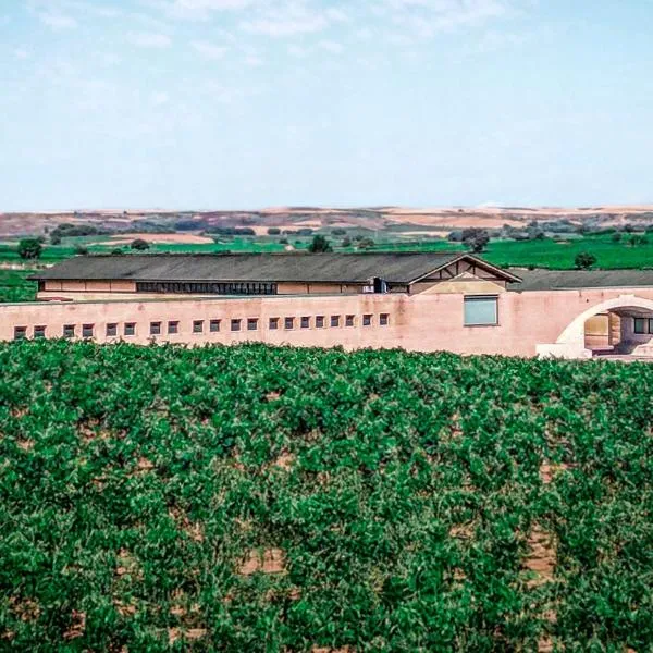 Alojamiento rural Solterra, hotel en Roa
