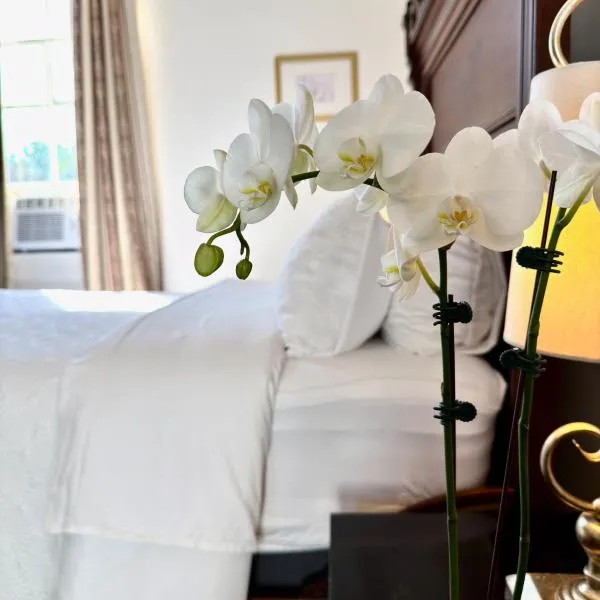 Charming Marigny 1BR Near Frenchmen Street, hotell sihtkohas New Orleans