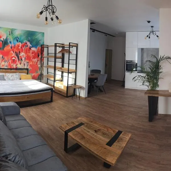 체스키테신에 위치한 호텔 Sauna Cafee & Beds