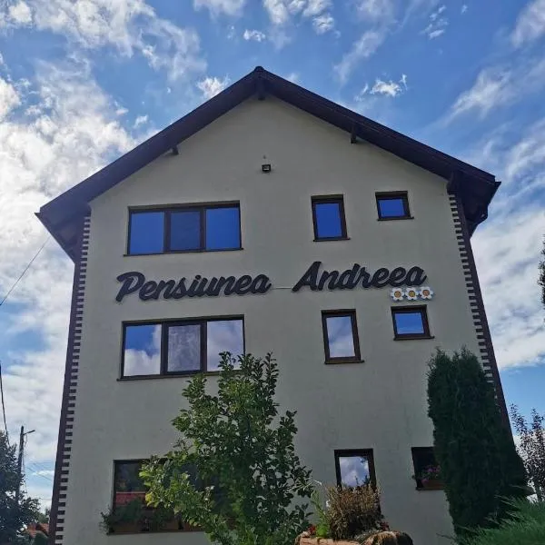 Pensiunea Andreea, ξενοδοχείο σε Baia de Fier