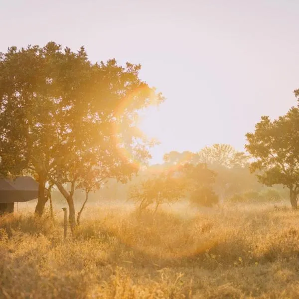 Kruger Untamed - Satara Plains Camp, hotelli kohteessa Die Brug