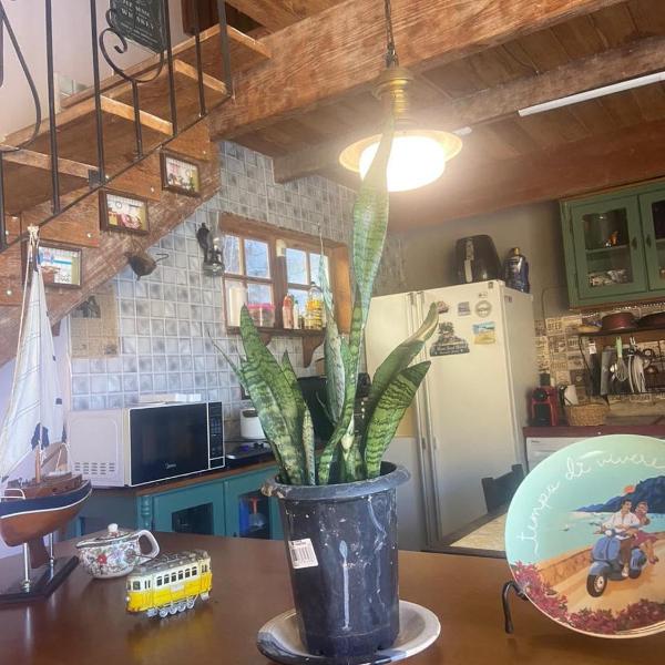 tree house - Foto 5