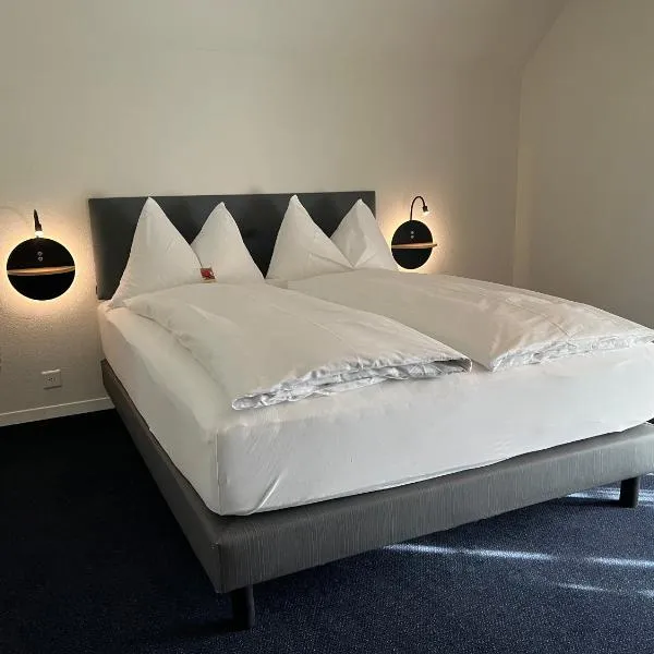 Hotel Zofingen, hotell i Zofingen