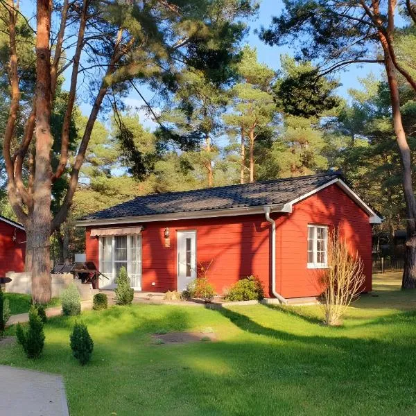 Ferienhaus Eichhörnchen，措森的飯店