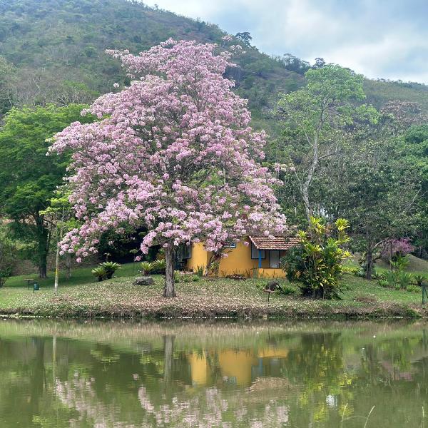 Chalé na Beira do Lago Pet Friendly
