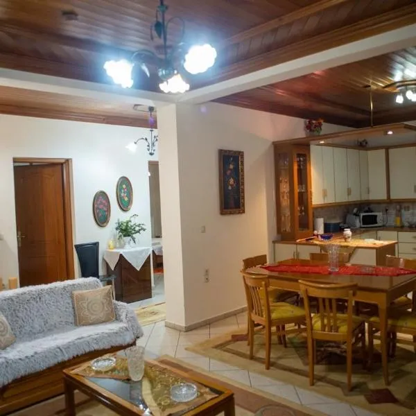 Theasi, hotel en Konitsa