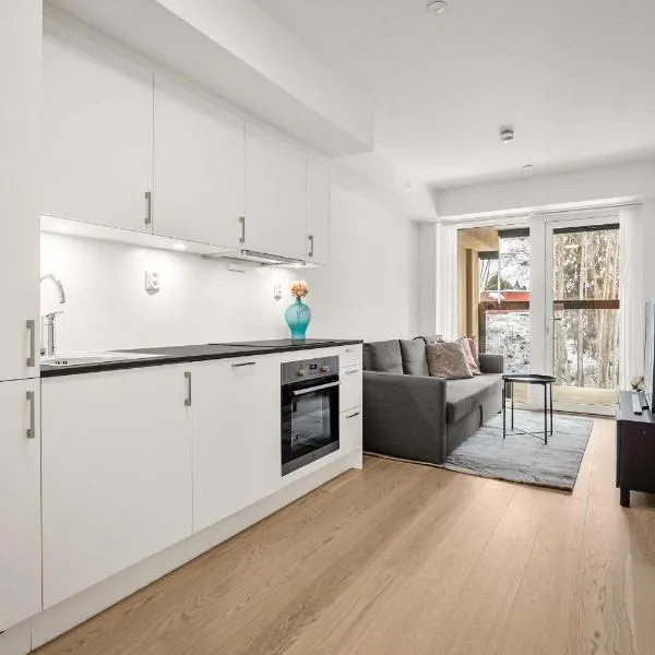 Scandpoint6 Apartment near airport, train and shopping, hotel a Jessheim