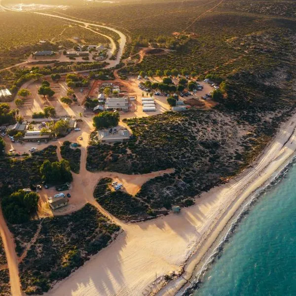 Nanga Shark Bay Caravan Park，德納姆的飯店
