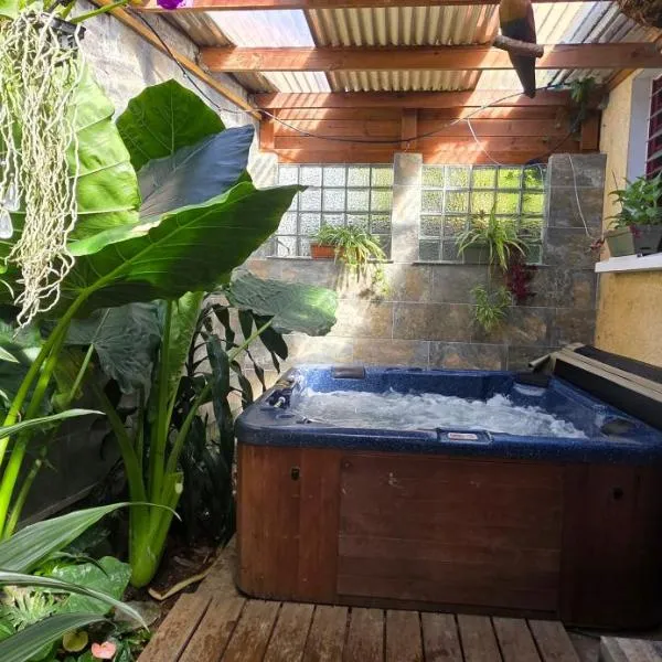 Villa Perdrix 4 à 6 pers, Jacuzzi, хотел в Птит Ил