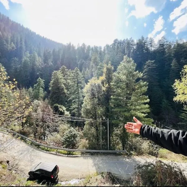 Sharaji cottage #premium room # cafe #comforable stay, hotel Jibhi városában