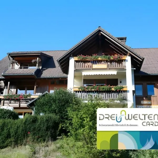 Appartment Bergblick, hotel em Bernau im Schwarzwald