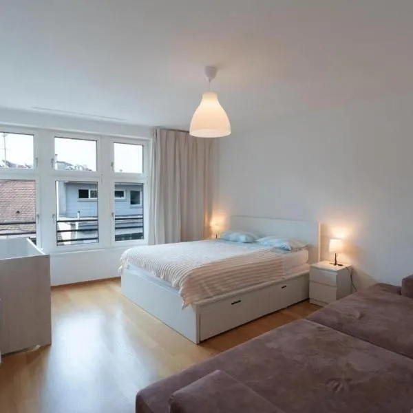 Penthouse with Rooftop Terrace Views, 2 BR, City Center、バーゼルのホテル